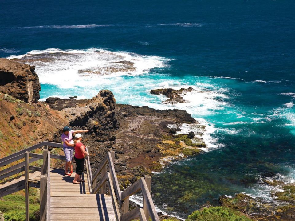 Cape Schanck Boardwalk