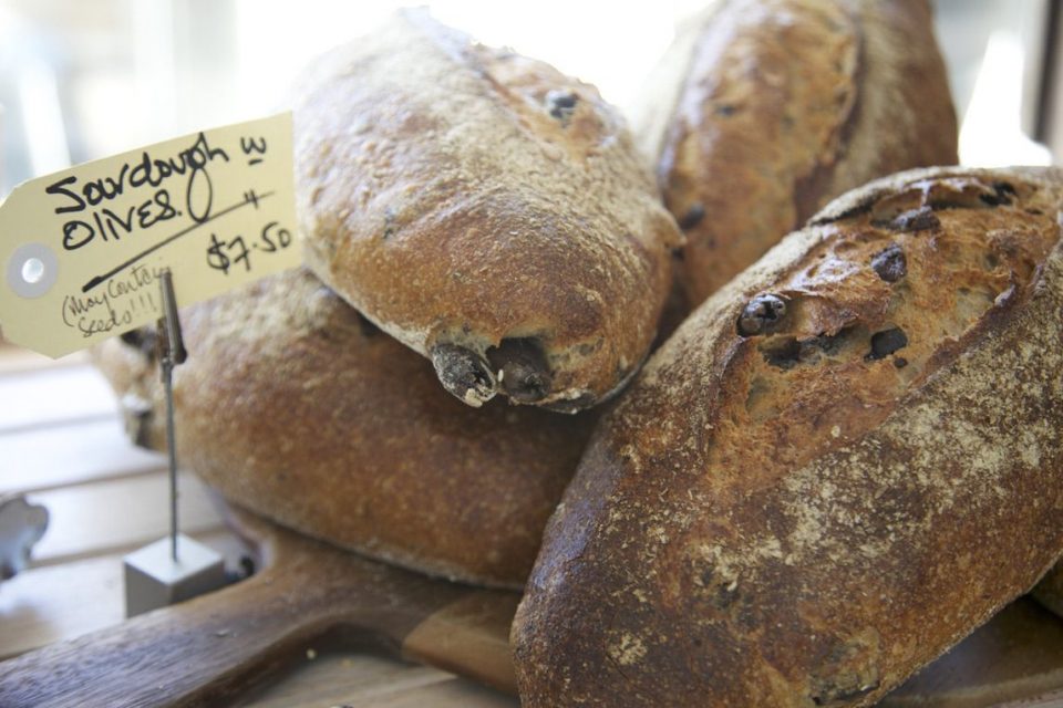 Mornington Peninsula walks_gallery0011