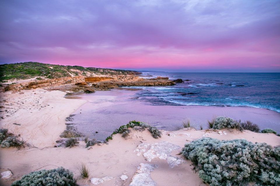 Mornington Peninsula walks_gallery0021