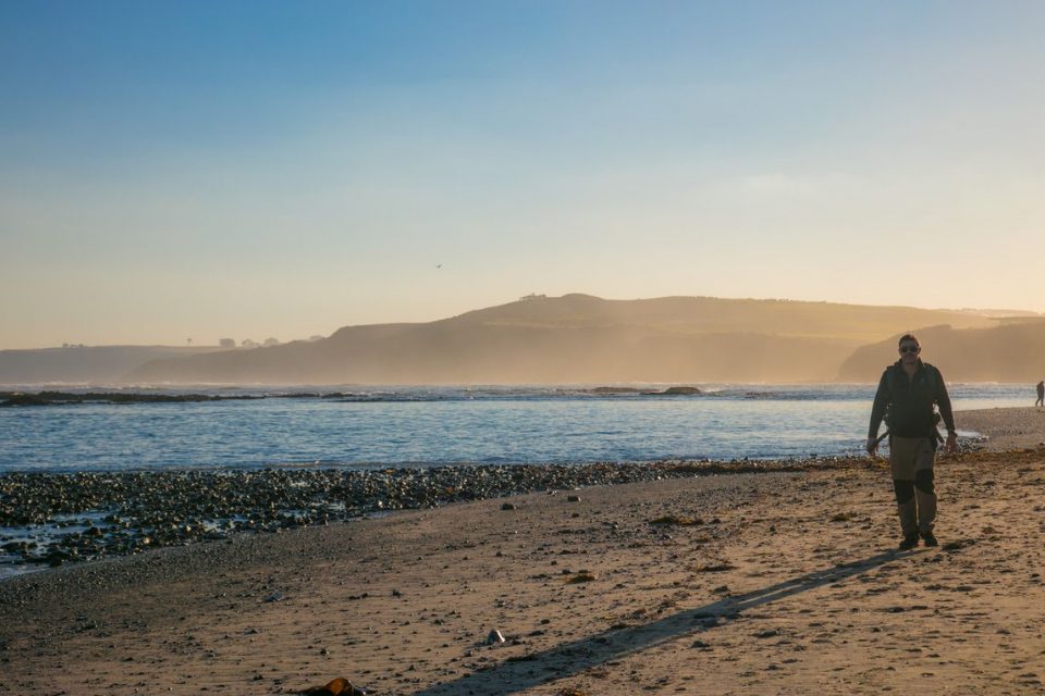 Beach along the Mornington Peninsula