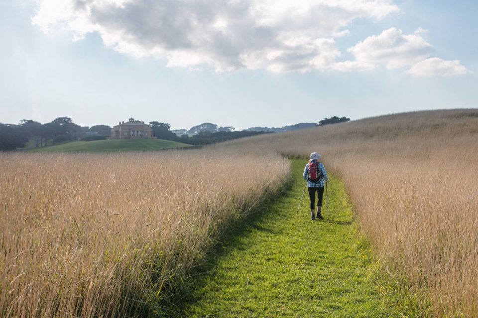 Mornington Peninsula walks_gallery0032