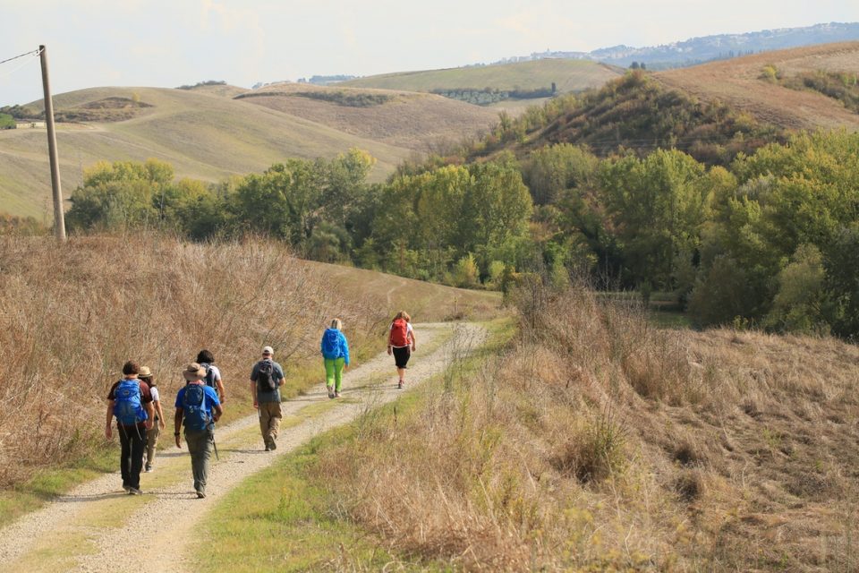 Group walking the Via Francigena