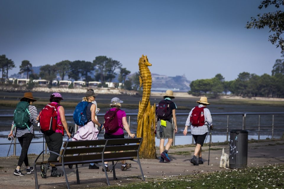 Portuguese Camino walkers