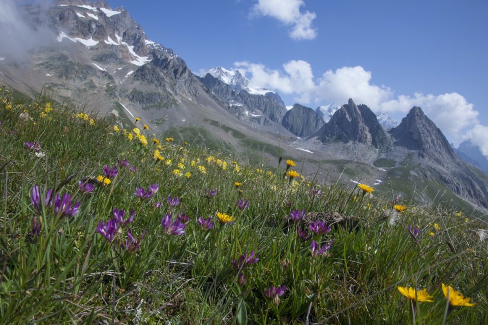 Tour Du Mont Blanc_hiking_gallery0003