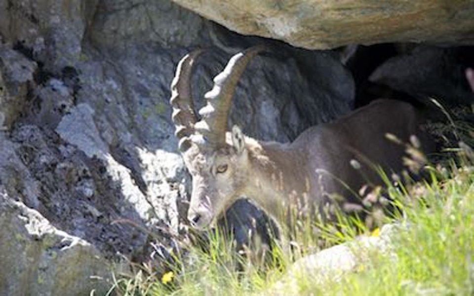 Tour Du Mont Blanc_hiking_gallery0013