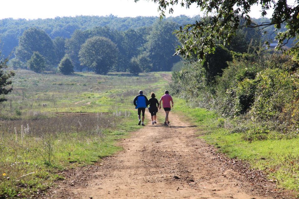 Via Francigena Viterbo to Rome0003