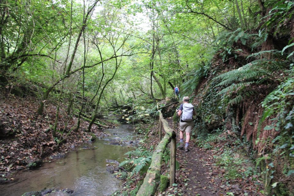 Via Francigena Viterbo to Rome0010