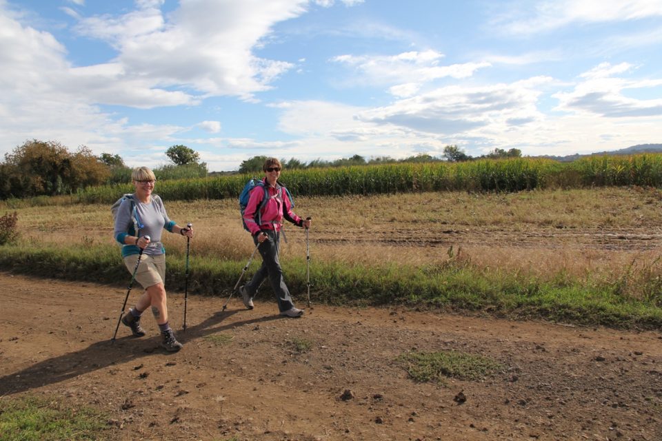 Via Francigena Viterbo to Rome0011