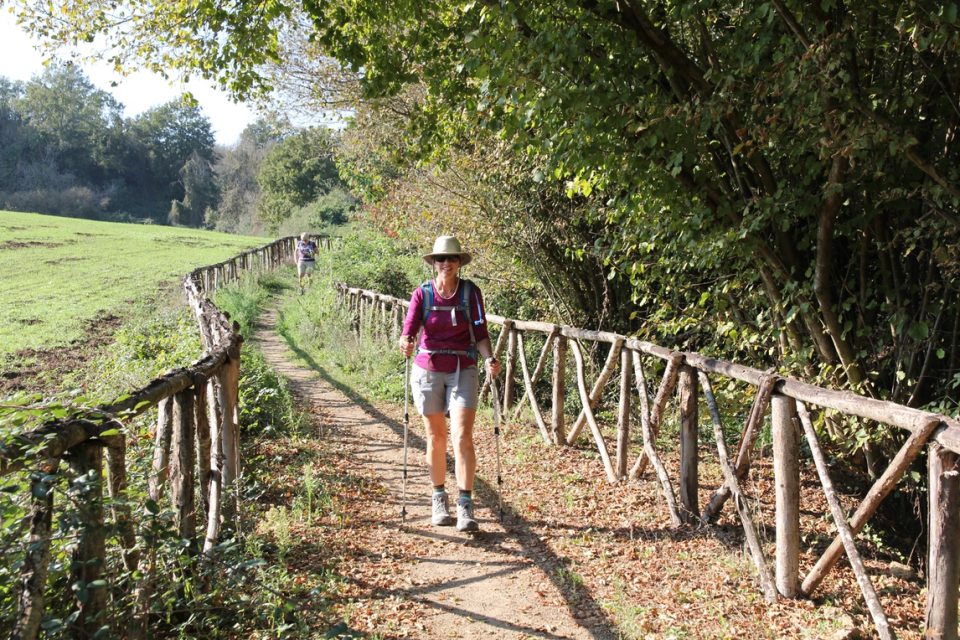 Via Francigena Viterbo to Rome0014