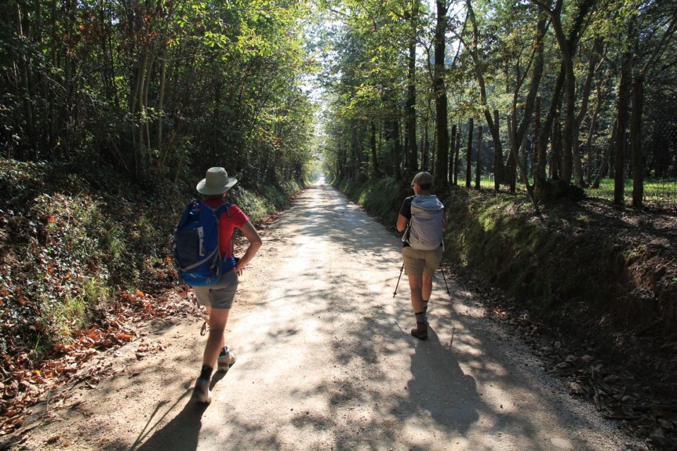 Via Francigena Viterbo to Rome0019