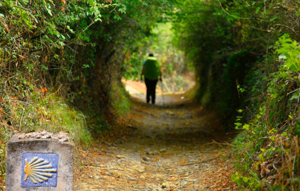 Solo hiker wandering through Galicia’s forest.
