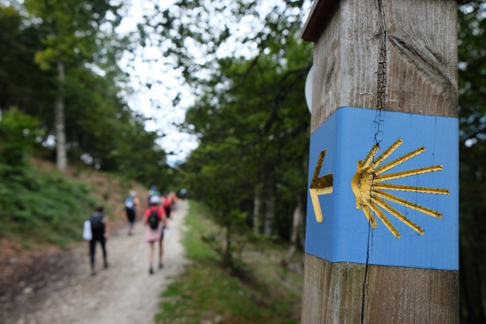 On the Camino trail