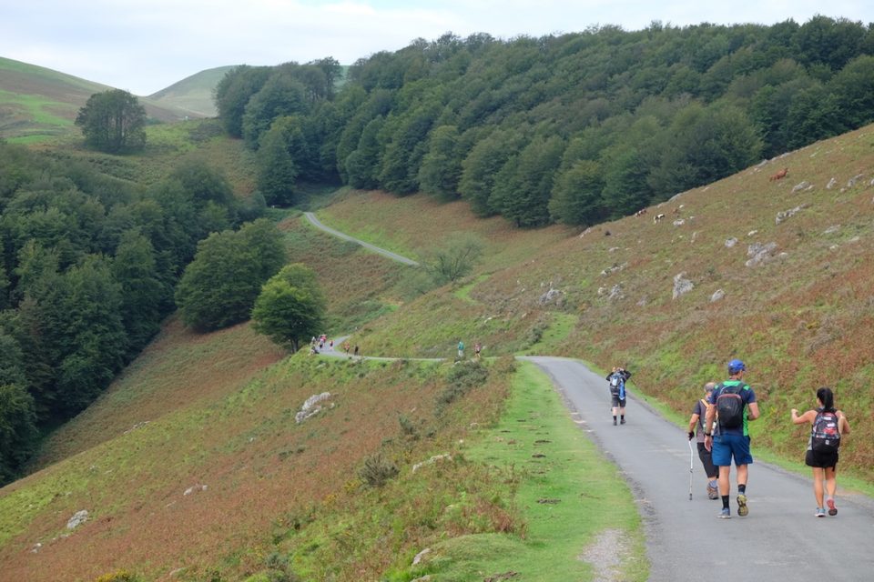 Walking Holiday of Camino