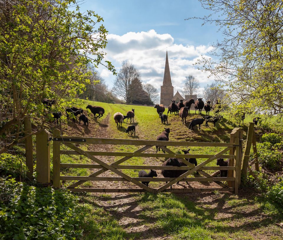 North Cotswolds - Cotswold Way