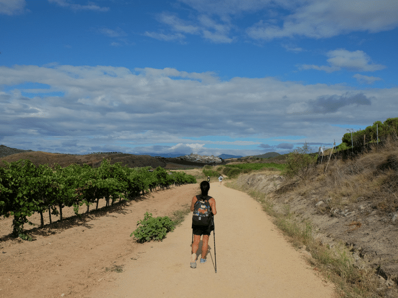 walker on the camino trail in summer
