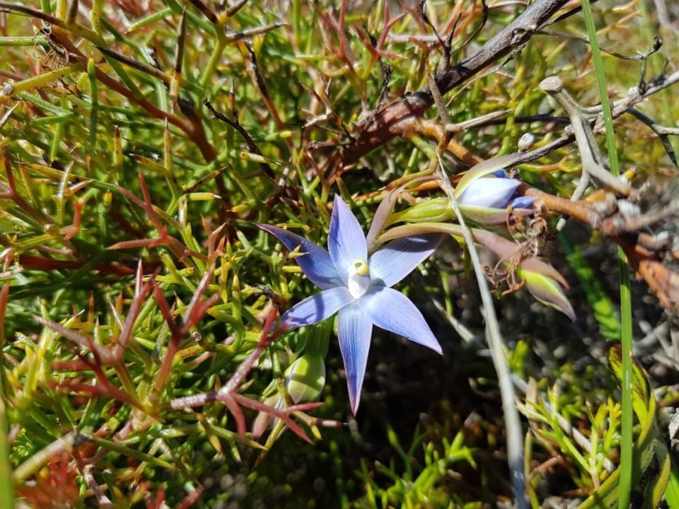 Cape To cape Track _gallery0000