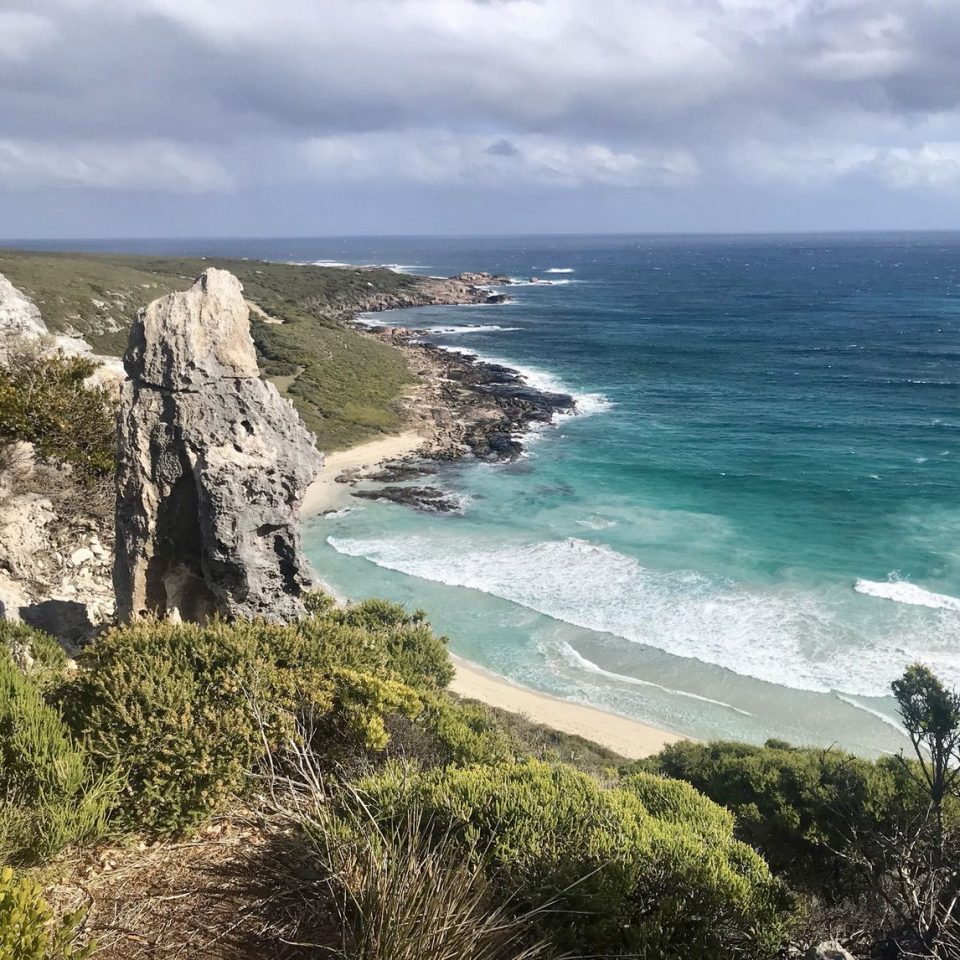 Cape To cape Track _gallery0004