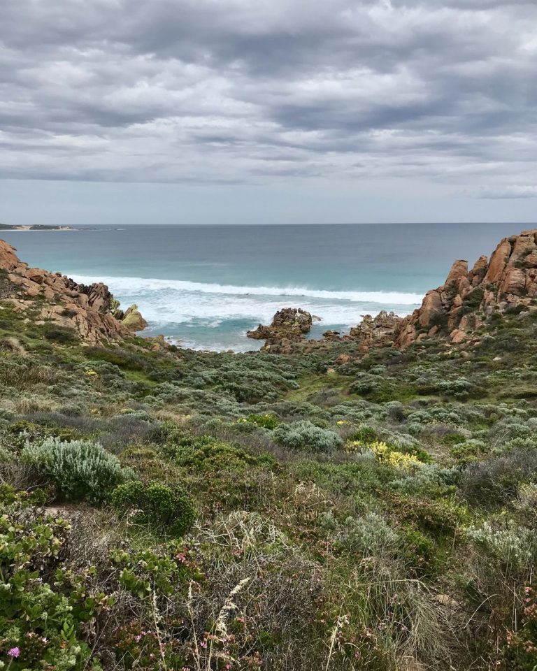 Cape To cape Track _gallery0005