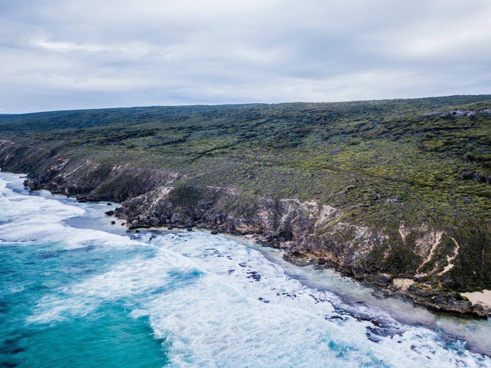 Cape To cape Track _gallery0009