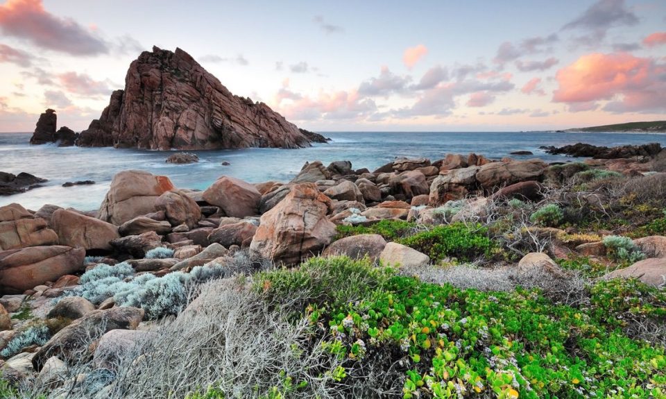 Cape To cape Track _gallery0012