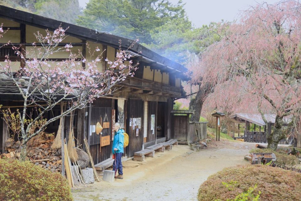 Traditional buildings