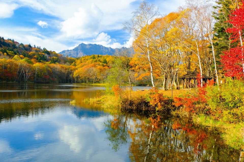 Nakasendo way _gallery0003