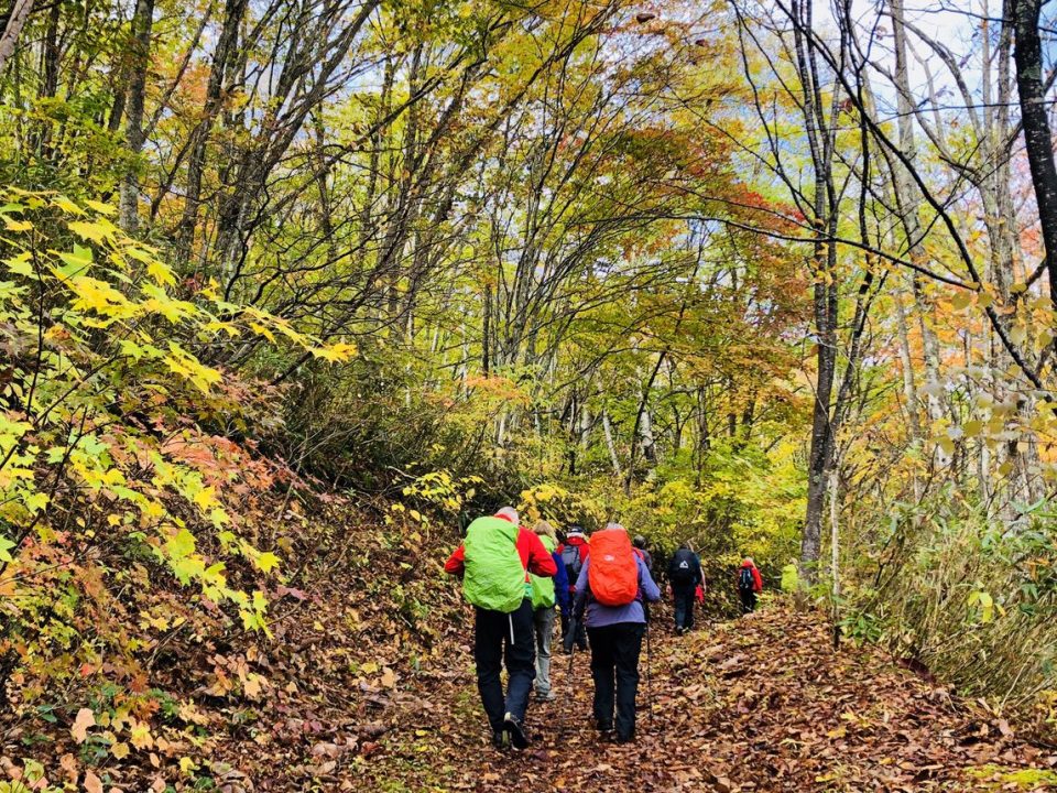 hikers on path under Autumn leaves