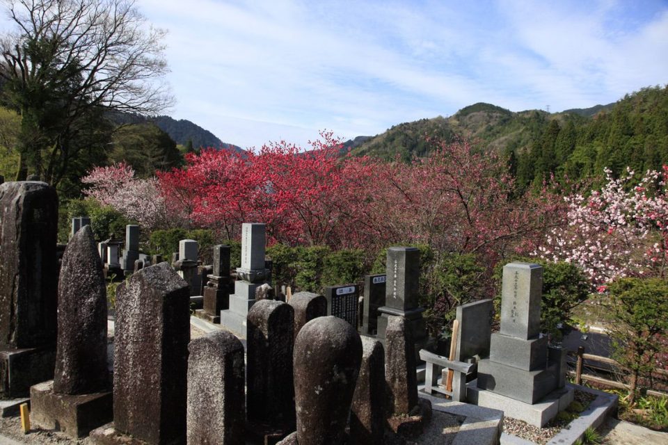 Nakasendo way _gallery0011