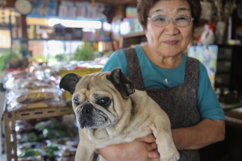 Nakasendo way _gallery0031