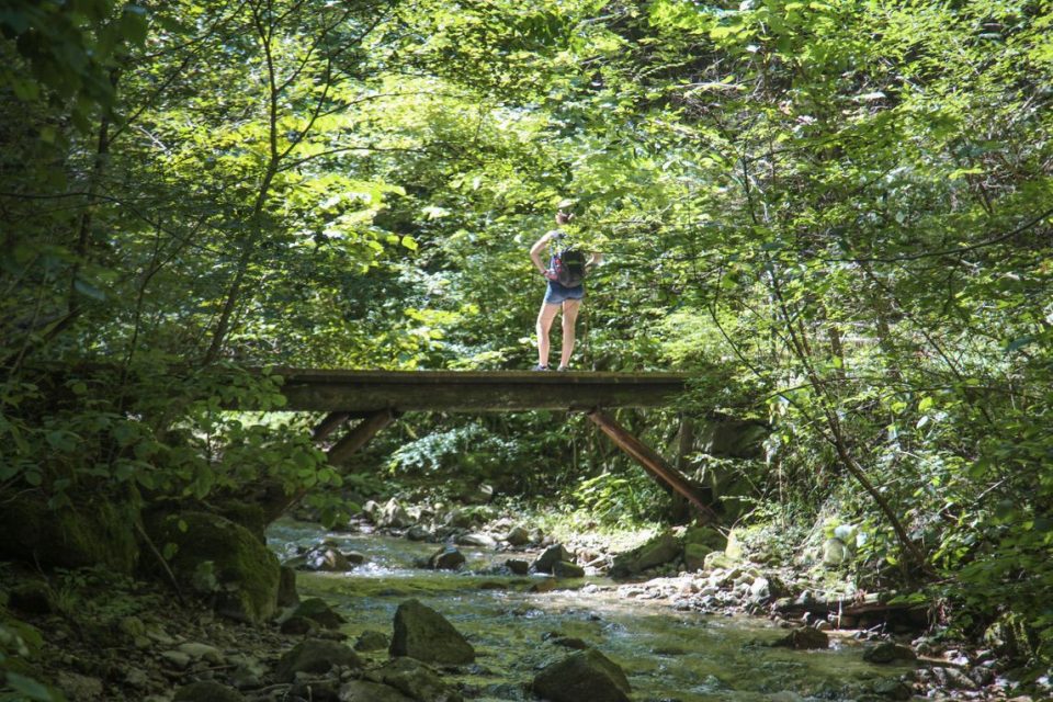Nakasendo way _gallery0042