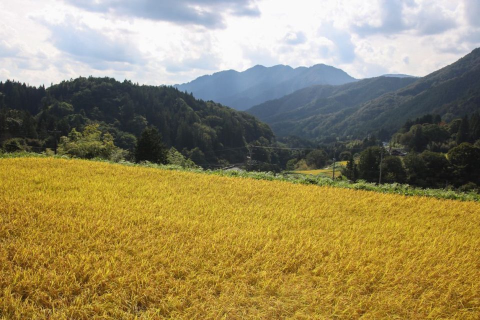 Nakasendo way _gallery0044