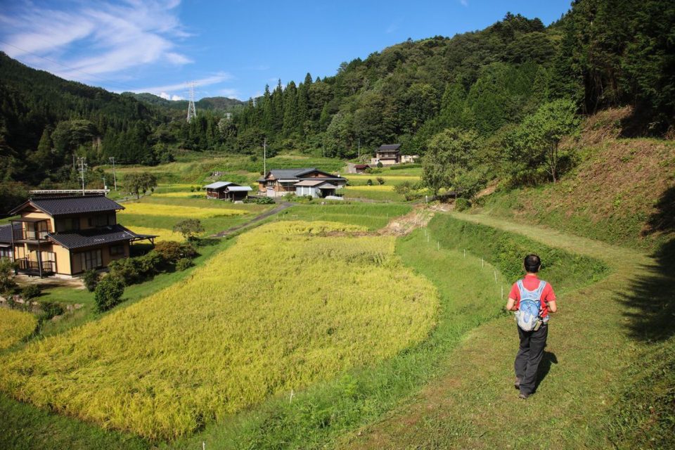 Nakasendo Way colours of the trail