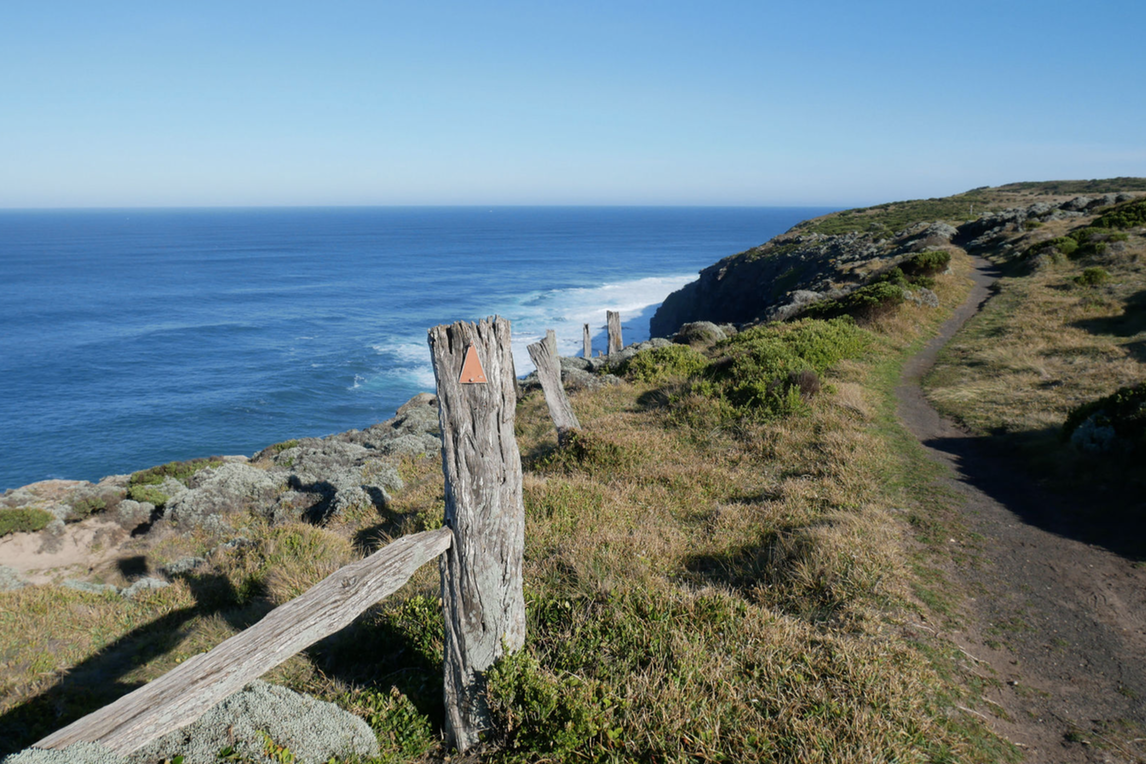 Great South west walk path Great South west walk path