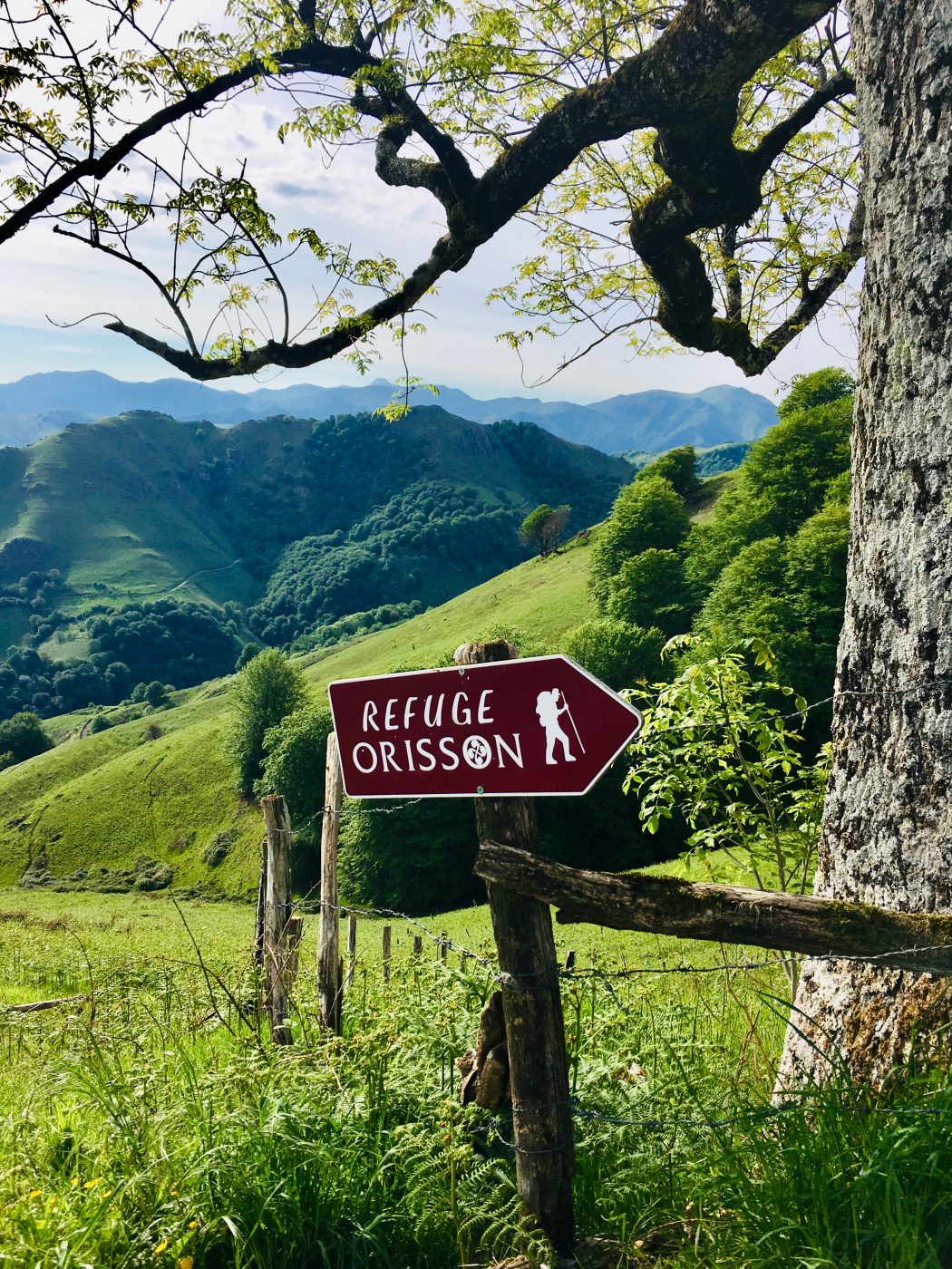 Taking the first steps on Spain's Camino Frances | RAW Travel