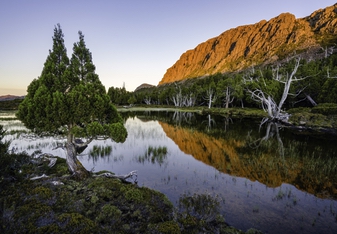 Walls of Jerusalem National Park The Walls of Jerusalem are located in a remote area of the Tasmanian highlands and are part of the Tasmanian Wilderness World Heritage Area. The area is a spectacular labyrinth of alpine lakes and tarns, dolerite peaks, ancient but fragile forests of Pencil Pines and unique alpine vegetation.