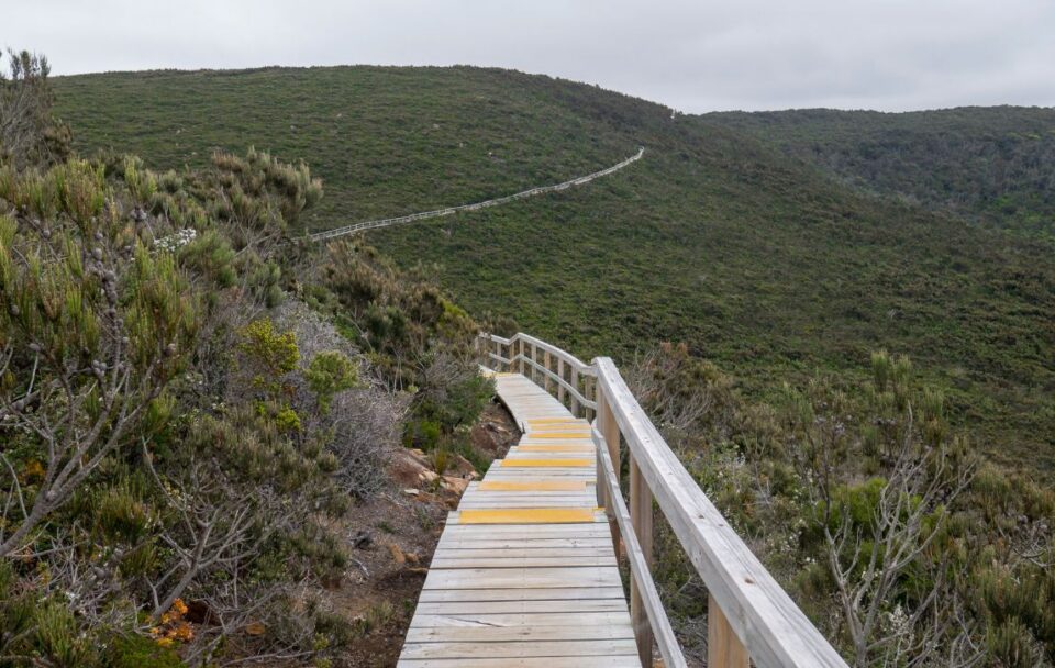 Raised boardwalk on Cape Pillar along the Three Capes Track in south-east Tasmania
