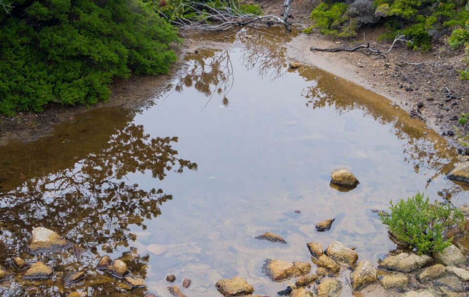 A pond on Cape Pillar along the Three Capes Track in south-east Tasmania