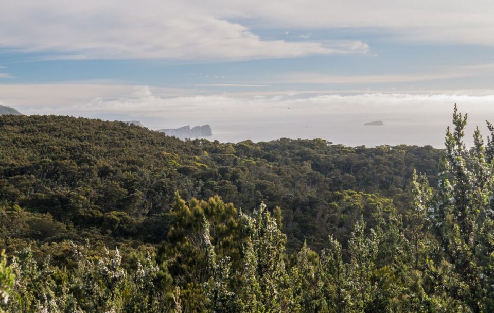 Views on Cape Pillar along the Three Capes Track in south-east Tasmania