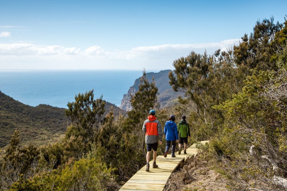 The Three Capes Track has already been hailed as Australia's premier coastal bushwalking experience. Over four days and three night you will cross chasms, tall forest and tip-toe to the edge of Australia's highest sea cliff. At days end, you can rest in warm comfortable cabins