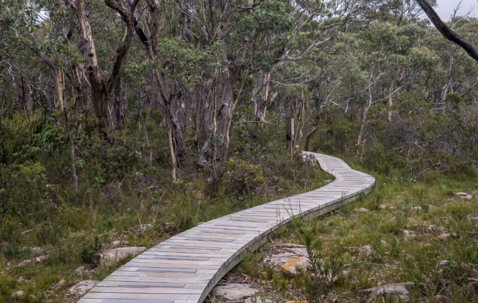 Boardwalk near Cape Pillar along the Three Capes Track in south-east Tasmania
