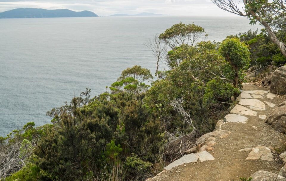 Hiking track on Cape Hauy along the Three Capes Track in south-east Tasmania