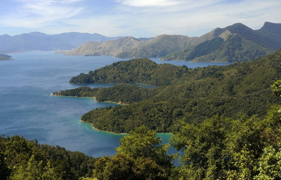 A landscape image of Queen Charlotte Sound, New Zealand