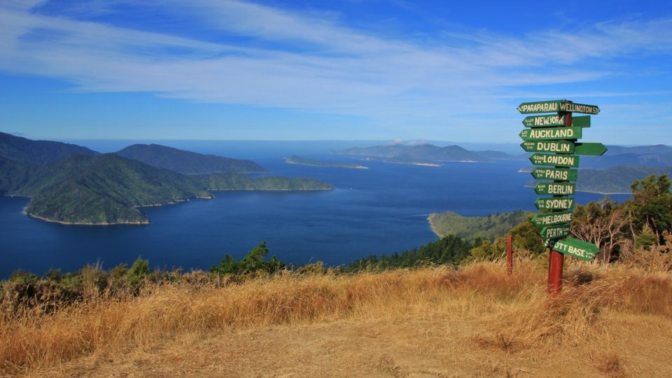 The view Queen Charlotte Track NZ
