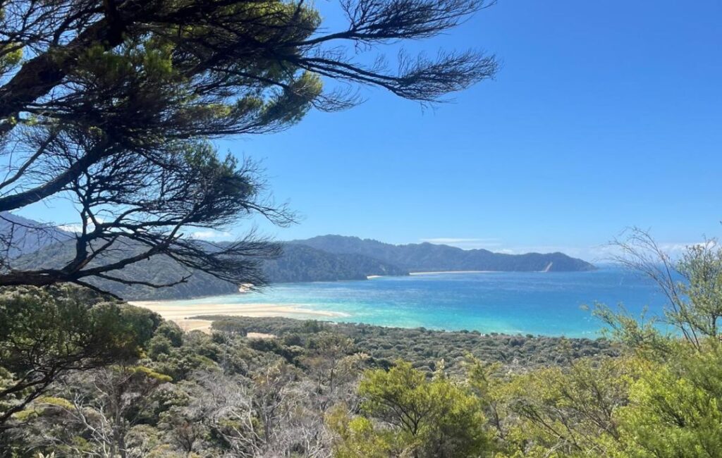 Abel Tasman beach view