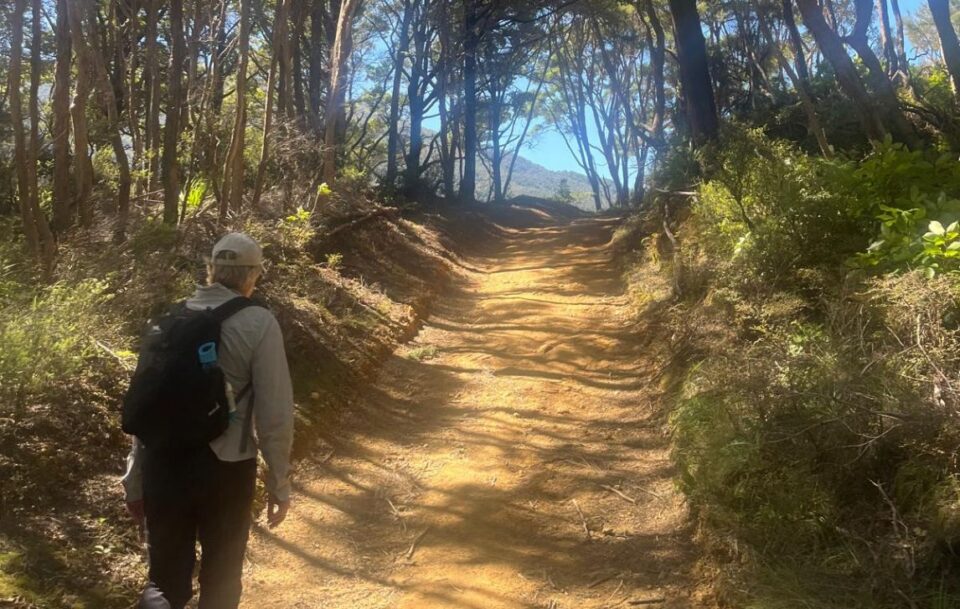 Queen Charlotte track walker along track