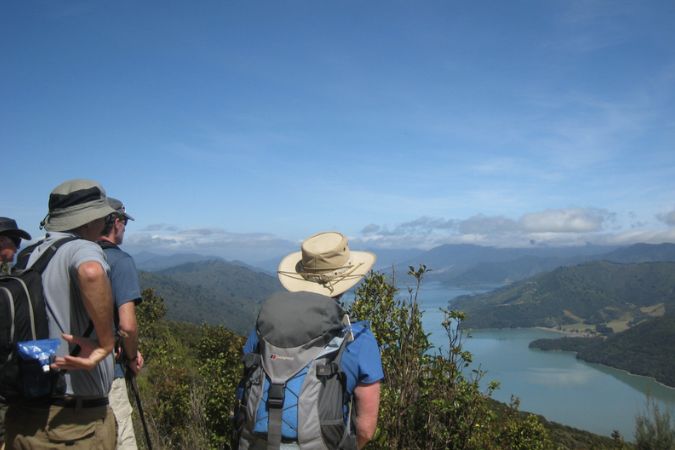 Queen Charlotte Track Hikers looking out at the view