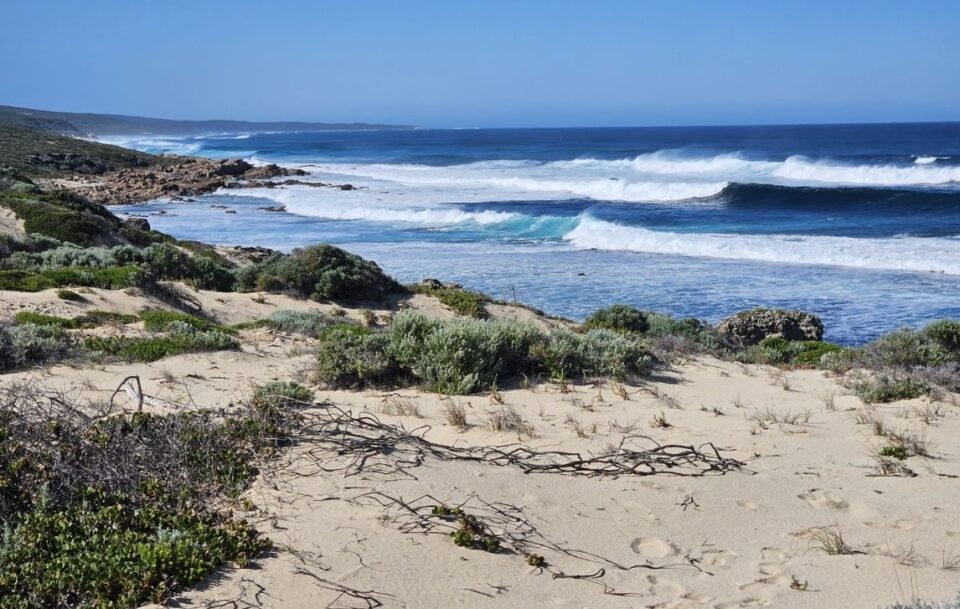 Guided Cape to Cape Track