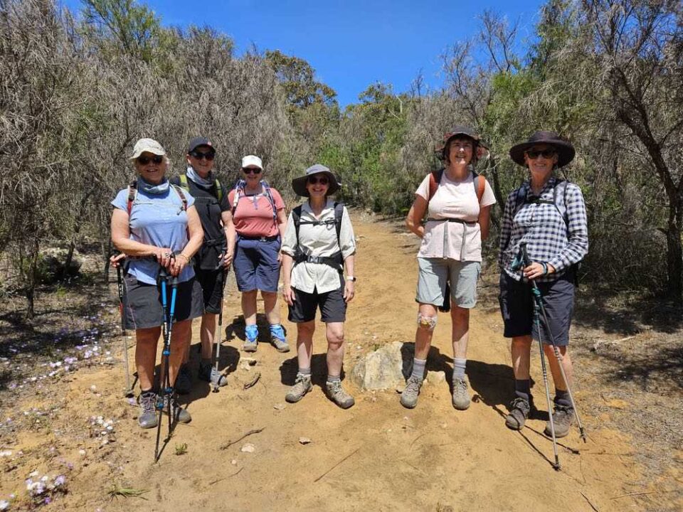 Guided Cape to Cape Track
