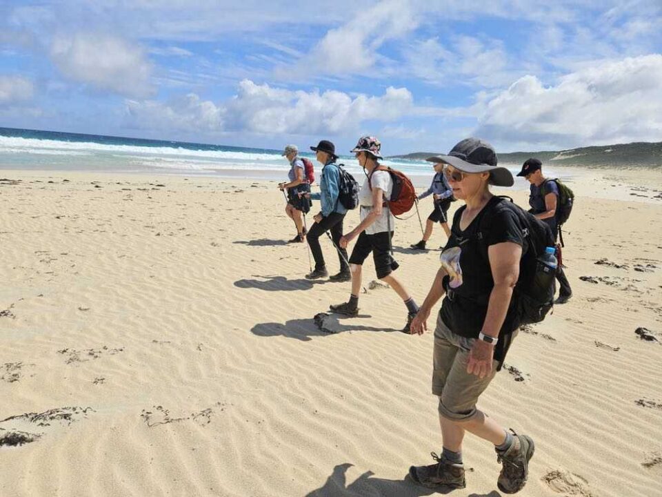 Guided Cape to Cape Track