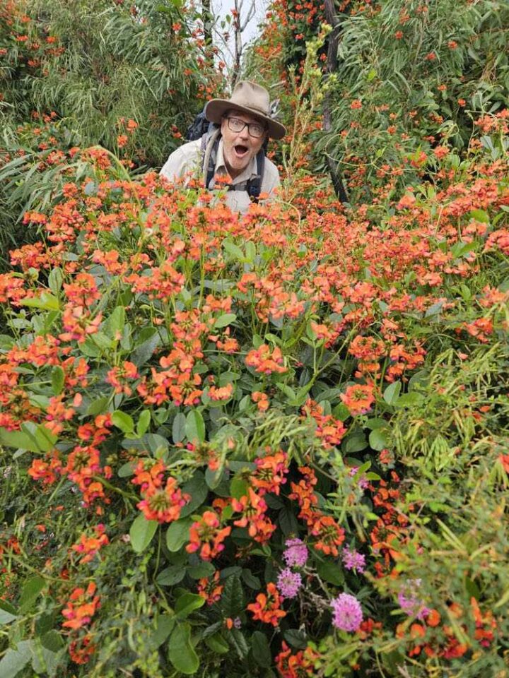 Guided Cape to Cape Track